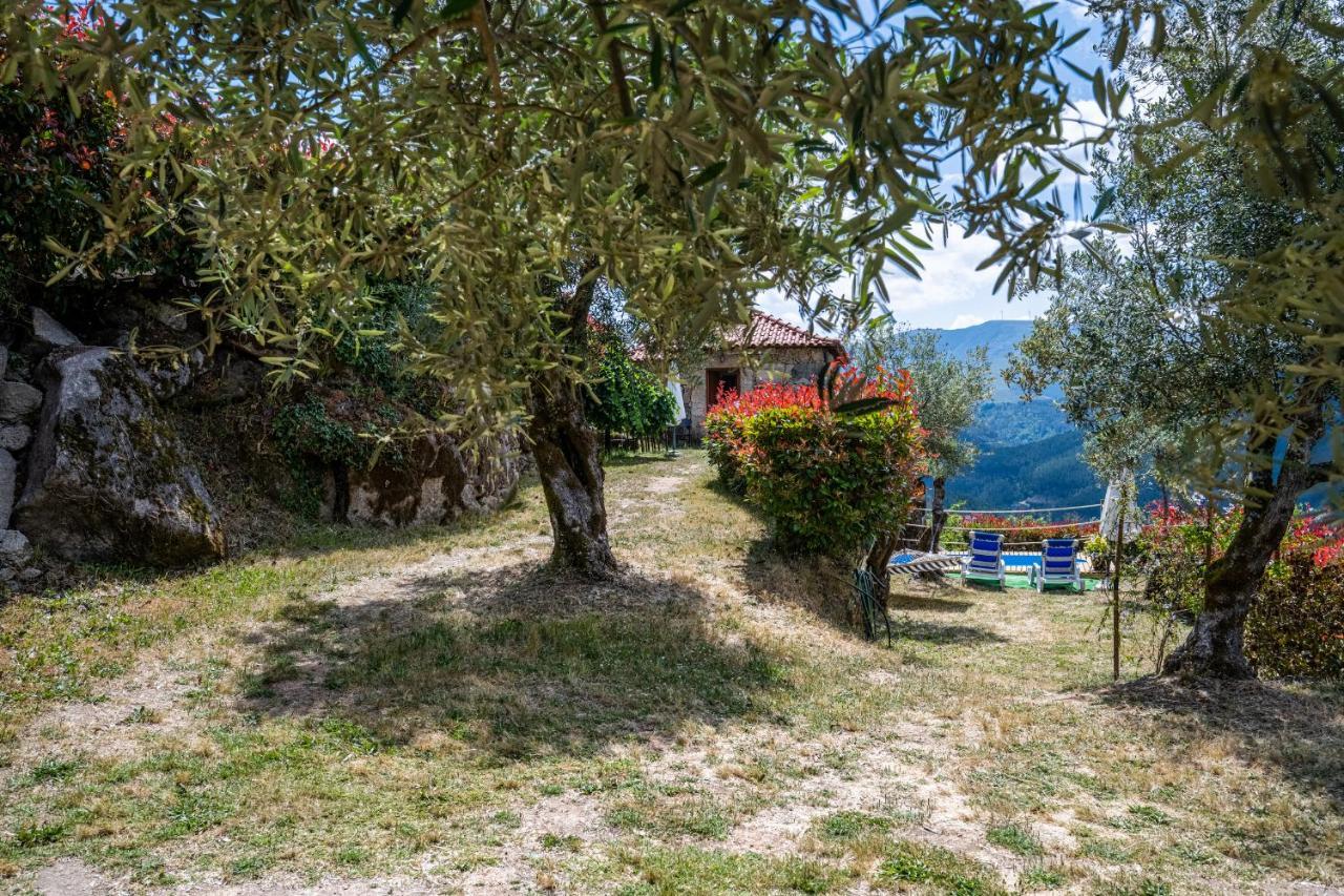 Quinta Da Baldieira Mondim de Basto Ngoại thất bức ảnh