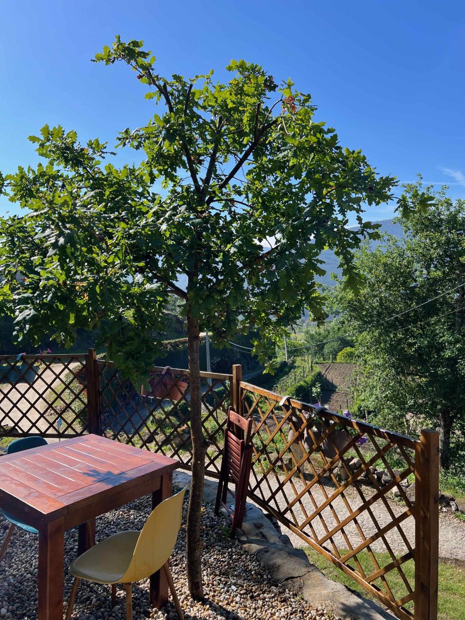 Quinta Da Baldieira Mondim de Basto Ngoại thất bức ảnh