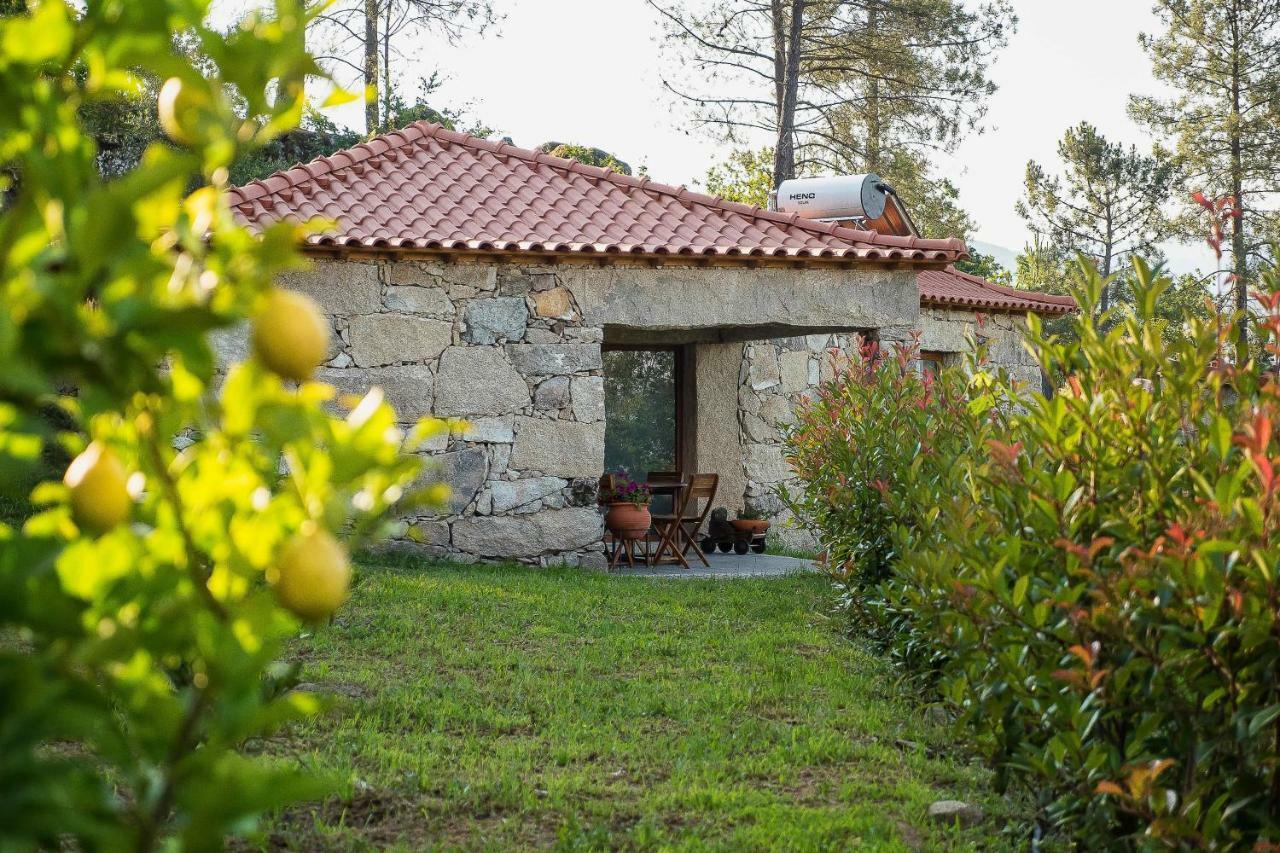 Quinta Da Baldieira Mondim de Basto Ngoại thất bức ảnh